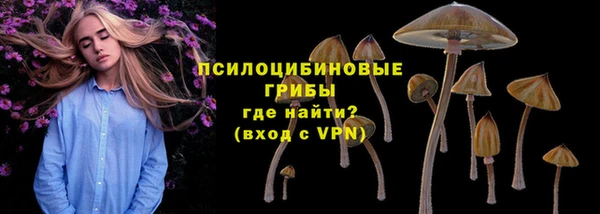 СК Алексин