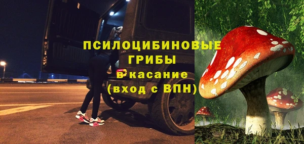 СК Алексин